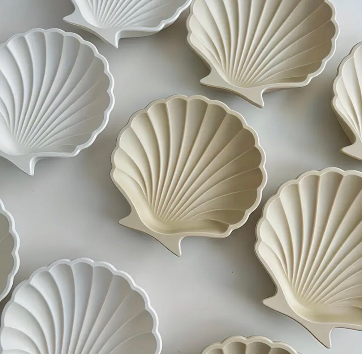 Scallop shell plaster dishes in ivory and cream